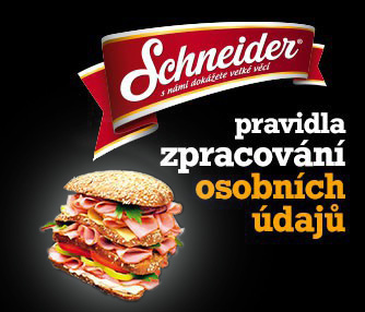 Schneider ochrana os udaju